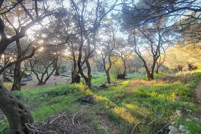 Liapades Private Guided Beaches and Olive Grove Hike  - Corfu - Included in the Tour
