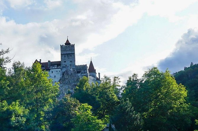 Libearty Bear Sanctuary and Draculas Castle - Day Tour From Bucharest - Tour Logistics and Amenities