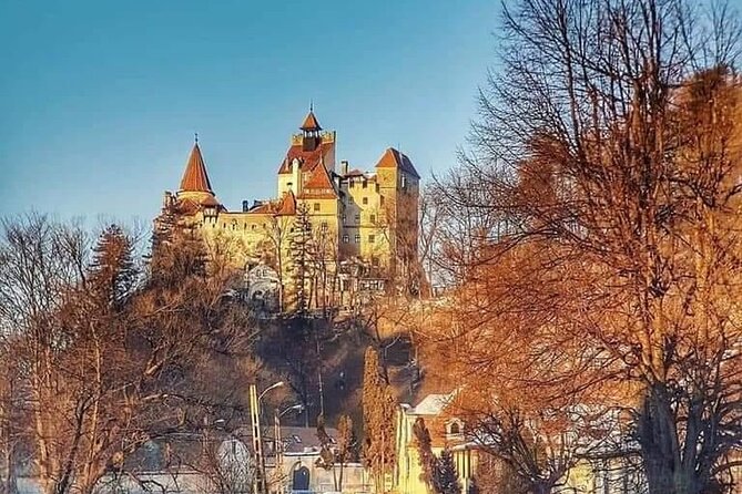 Libearty Brown Bear Sanctuary, Rasnov Fortress, Bran Castle Day Tour From Brasov - Rasnov Citadel and Views