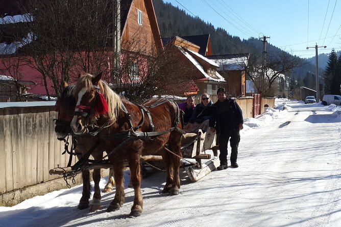 Libearty Brown Bear Sanctuary, Rasnov Fortress, Bran Castle Day Tour From Brasov - Transport and Accessibility