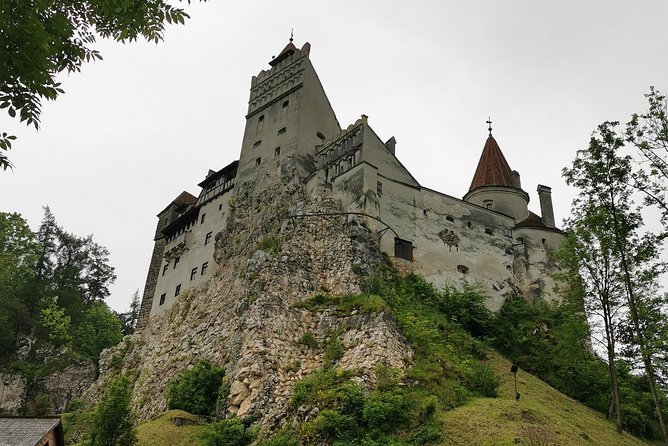 Libearty Brown Bears Sanctuary & Dracula Castle in One Day! - Tour Details
