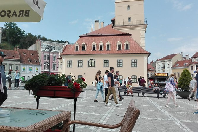 Libearty - the Brown Bear Sanctuary From Zarnesti - Exploring Bran Castle
