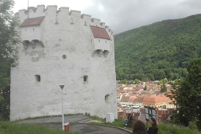 Libearty - the Brown Bear Sanctuary From Zarnesti - Discovering Brasov