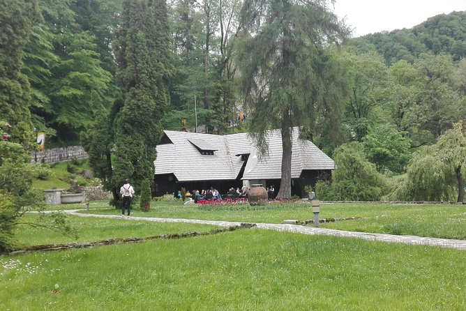Libearty - the Brown Bear Sanctuary From Zarnesti - Booking and Pricing