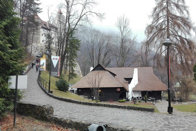Libearty - the Brown Bear Sanctuary From Zarnesti - Cancellation Policy