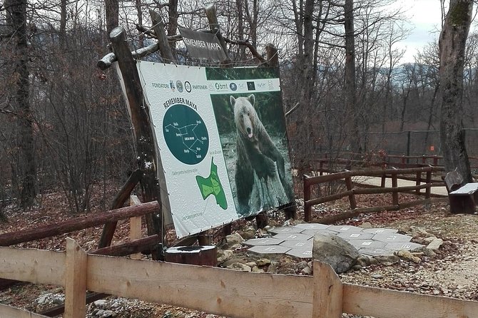 Libearty - the Brown Bear Sanctuary From Zarnesti - Guest Reviews and Ratings