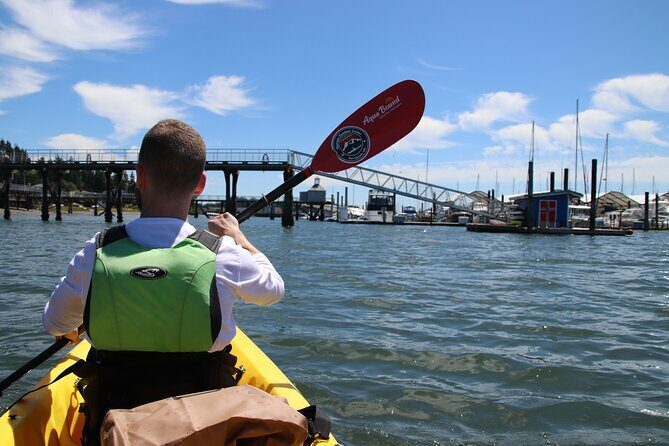 Liberty Bay Wildlife Kayaking - The Sum Up