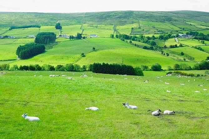 Liberty Irish Tours Dublin City & Wicklow Mountains Luxury Car Shore Excursion - Dublin City Sightseeing