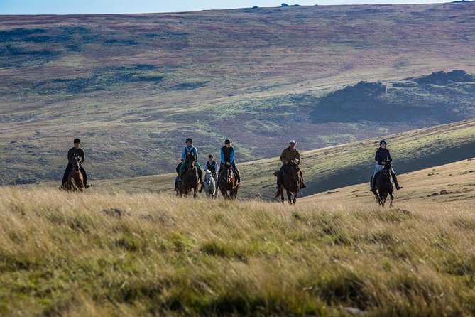 Liberty Trails - Dartmoor Horseback Adventures - Experience Details