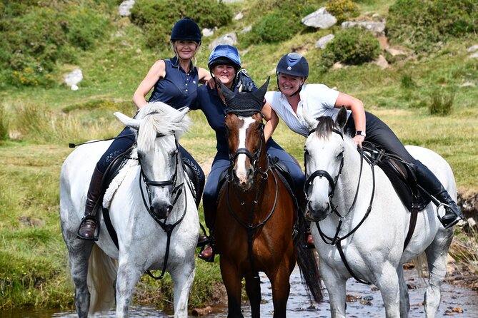 Liberty Trails - Dartmoor Horseback Adventures - Booking Information