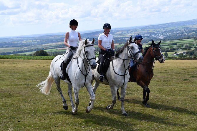 Liberty Trails - Dartmoor Horseback Adventures - Positive Customer Reviews