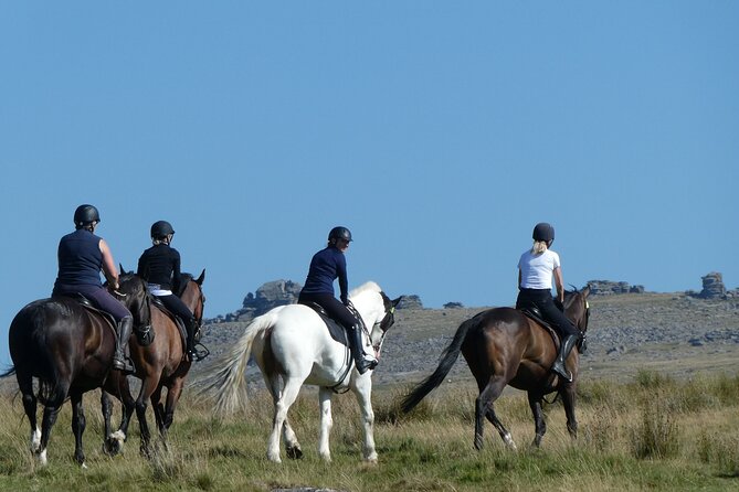 Liberty Trails - Dartmoor Horseback Adventures - Location and Accessibility