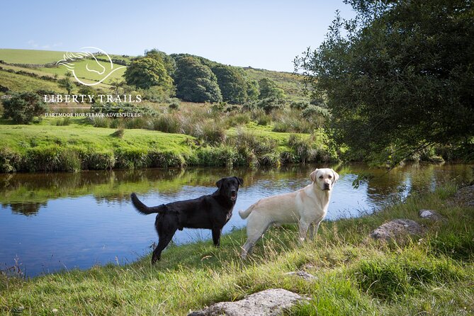 Liberty Trails - Dartmoor Horseback Adventures - Physical Requirements