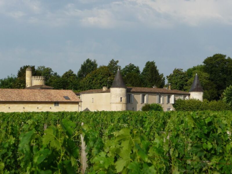 Libourne: Visit and Wine Tasting in the Heart of Libourne - Wine Tasting Offerings