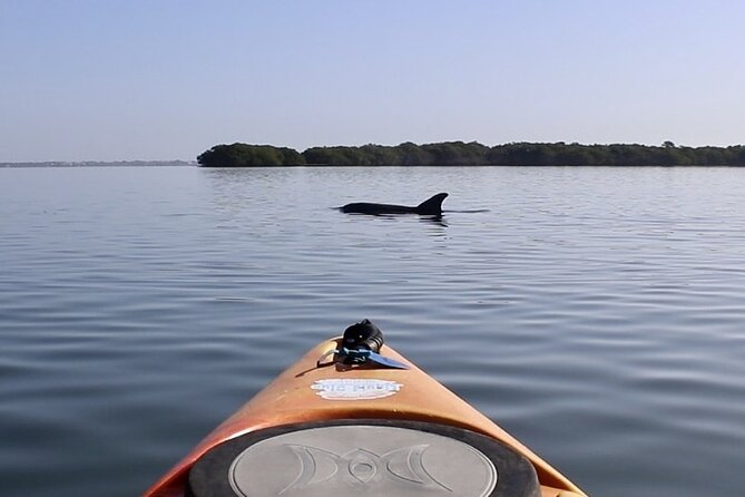 Lido Key Pedal Kayak Tour in Sarasota - Kayaking as a Family Activity