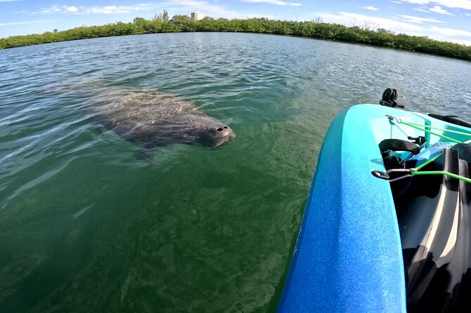 Lido Key Pedal Kayak Tour in Sarasota - Flexibility and Cancellation Policy