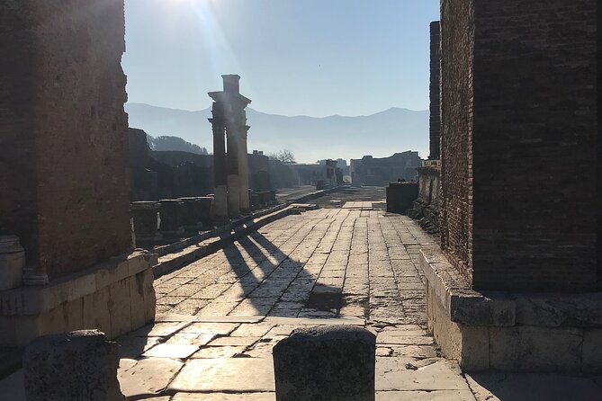 Life and Death of the Roman City of Pompeii With a Local Guide. Private Tour - Architectural Marvels