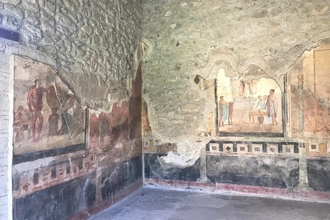 Life and Death of the Roman City of Pompeii With a Local Guide. Private Tour - Practical Information