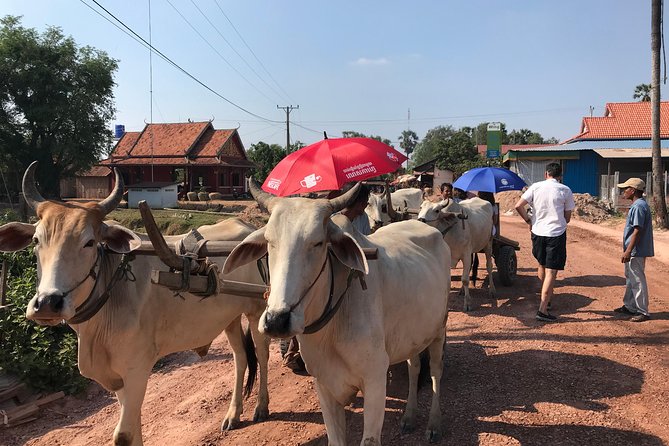 Lifestyle Tour With Homestay - 2 Days 1 Night - Pickup and Transfer