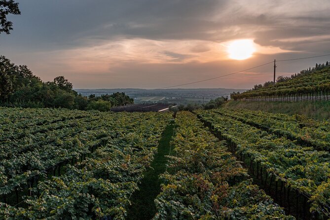 Light Lunch With Blind Tasting - About Your Stay