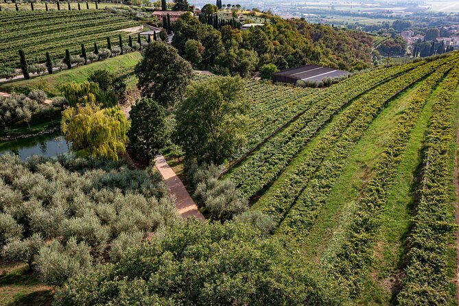 Light Lunch With Blind Tasting - Savoring the Light Lunch