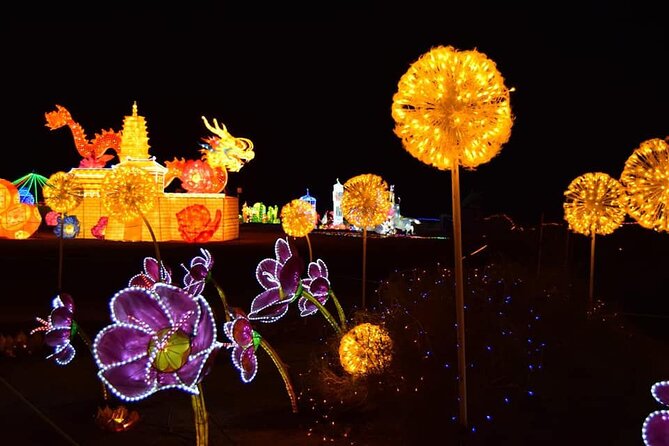 Light Park Tenerife - Accessibility Considerations