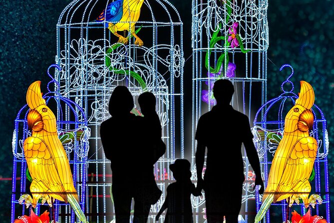 Light Park Tenerife - Traveler Reviews Highlight