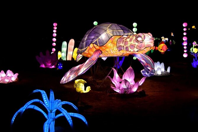 Light Park Tenerife - Tour Group Size and Booking