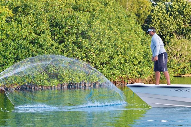 Light Tackle Tarpon Fishing - Overview of the Activity
