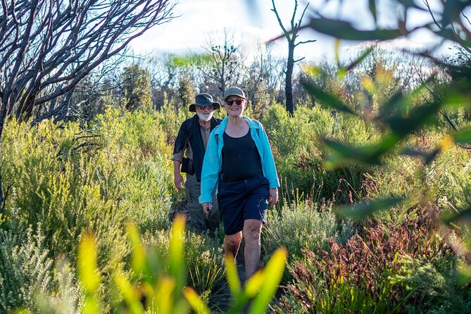 Light to Light Walking and Kayaking Tour, 3 Nights - Meeting and End Point