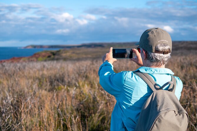 Light to Light Walking and Kayaking Tour, 3 Nights - Booking and Availability