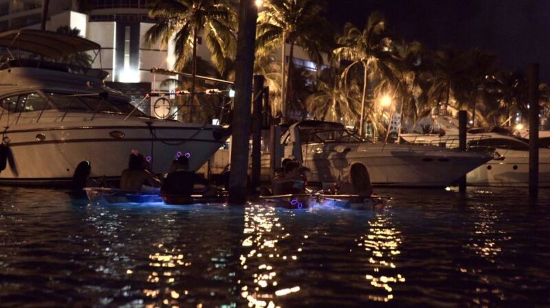 Lighted Clear Kayaks at Night W/ Champagne in Miami Beach - Pricing and Duration