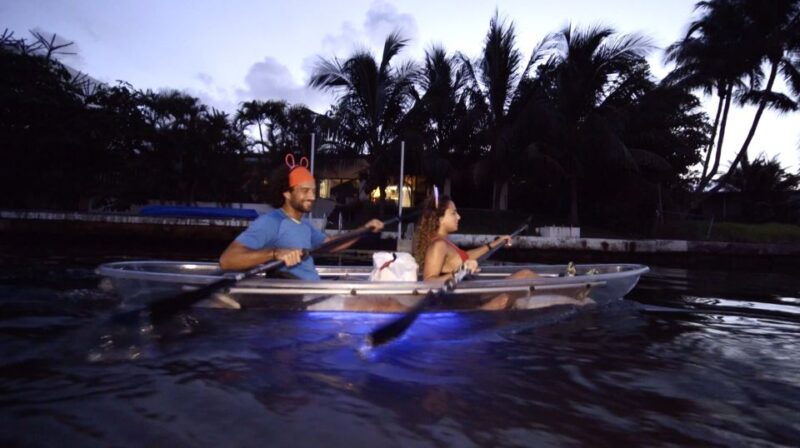 Lighted Clear Kayaks at Night W/ Champagne in Miami Beach - Frequently Asked Questions
