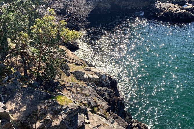 Lighthouse Park Hike - Health Considerations