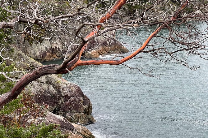 Lighthouse Park Hike - Safety Information