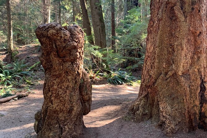 Lighthouse Park Hike - Cancellation Policy