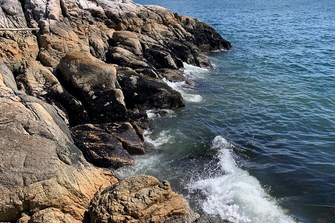 Lighthouse Park Hike - Booking Confirmation