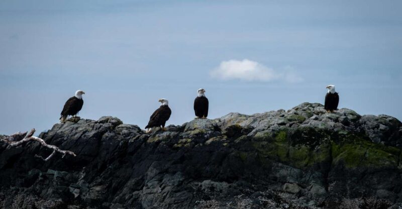 Lighthouse, Totems & Eagles Excursion - Itinerary Details