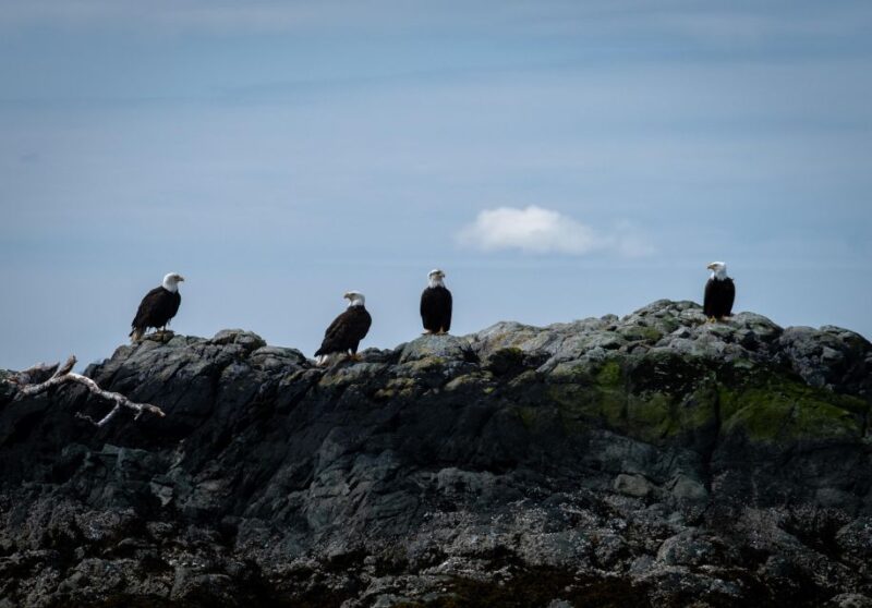Lighthouse, Totems & Eagles Excursion - Meeting Points