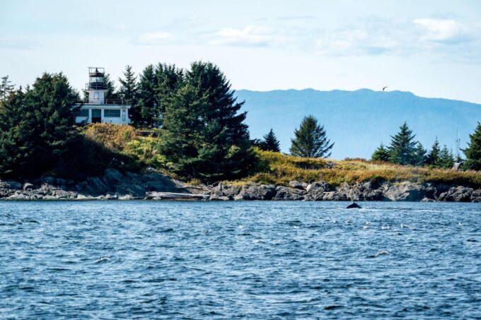 Lighthouse, Totems & Eagles Excursion - Sightings and Highlights