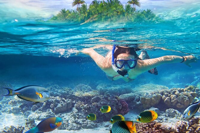 Lihaga Island (White Sand Island) Swimming Twice, Including Lunch and Tickets - Activities on Lihaga Island