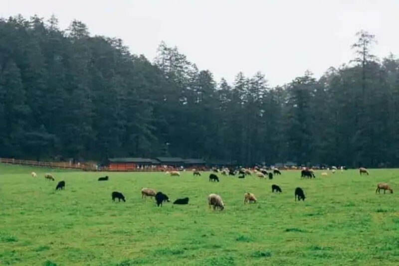 Lijiang: Jade Dragon Snow Mountain + Impression Lijiang - Key Points