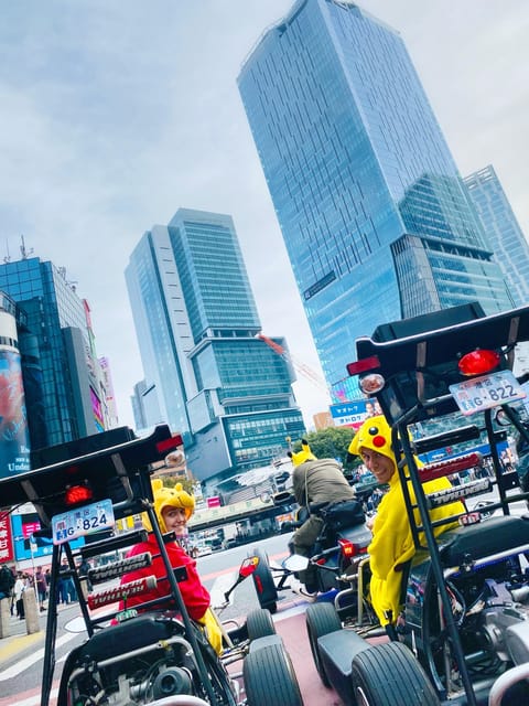 Like a Hero! Exploring Around Tokyo ( Idp&Passport Required) - Exploring the History and Culture