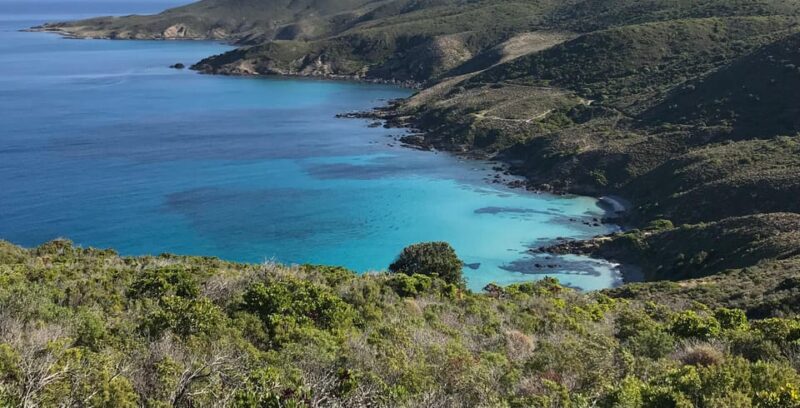 Lile-Rousse Corsica: Catamaran Day Trip Agriates Desert - Key Points