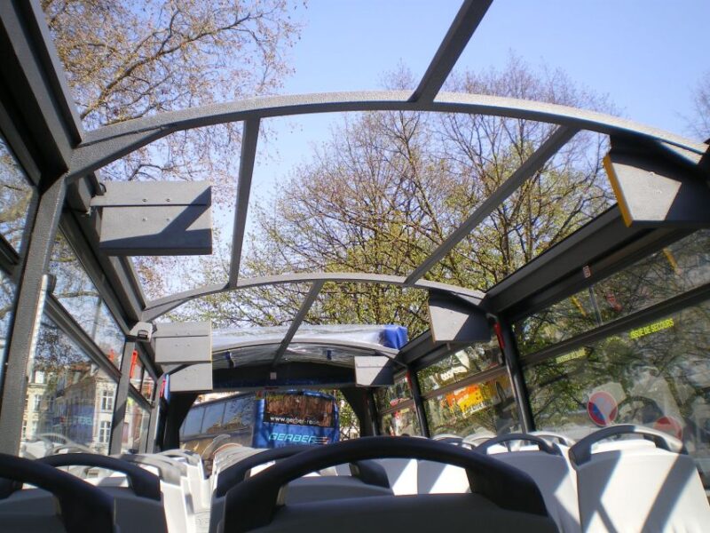 Lille City Tour - Tour Experience