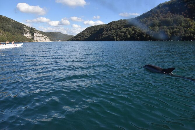 Lim Bay Outrigger Canoe Tour - Tour Operator and Pricing