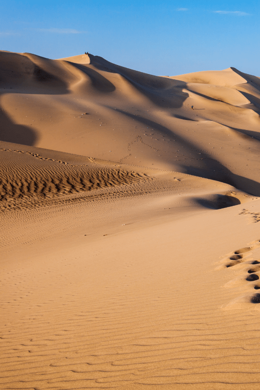 Lima: 2 Days 1 Night to Ballestas,Huacachina and Nazca Lines - Tour Overview