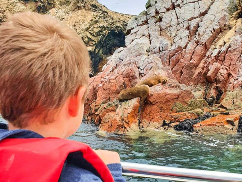 Lima: 3-Day Tour to Paracas, Ballestas Islands & Huacachina - Important Information