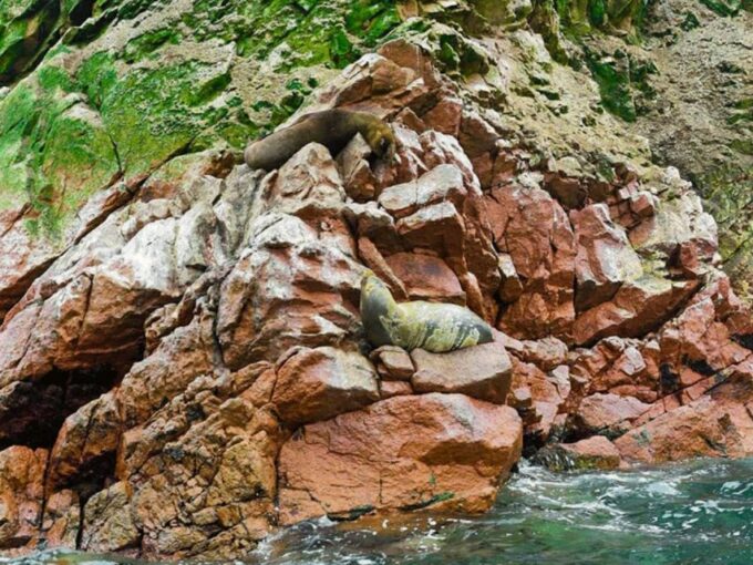 Lima: 3-Day Tour to Paracas, Ballestas Islands & Huacachina - Highlights and Experiences