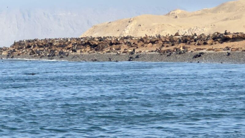 Lima and Nasca : Ballestas -Huacachina-Nasca Lines - Tour Logistics and Organization